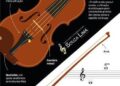 As características do Violino